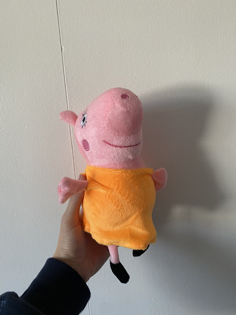 I ordered a Rosita (from Sing) plush toy for my sisters Christmas gift and instead they sent me PEPPA PIG