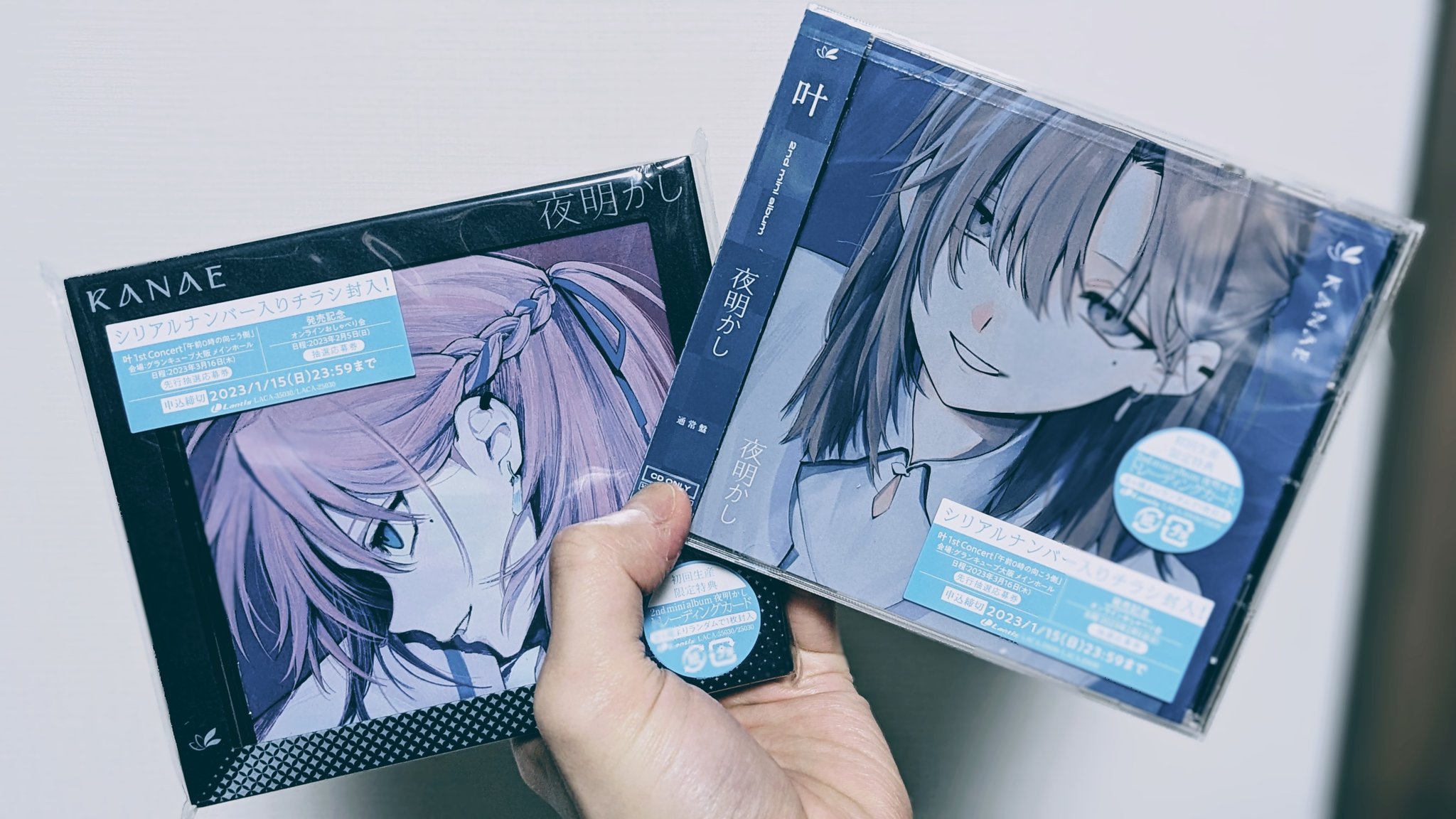 かめりあ (Camellia) على X: 