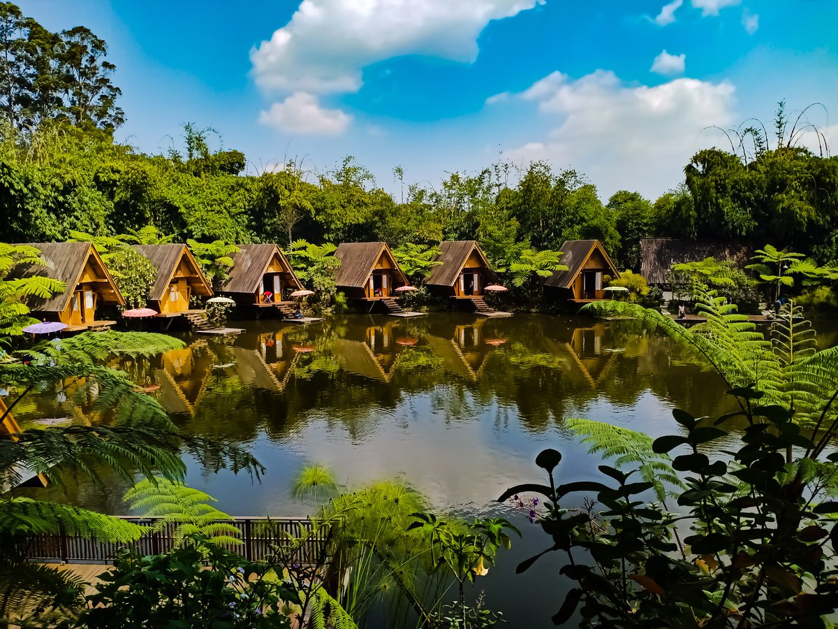 Wego Indonesia tweet media