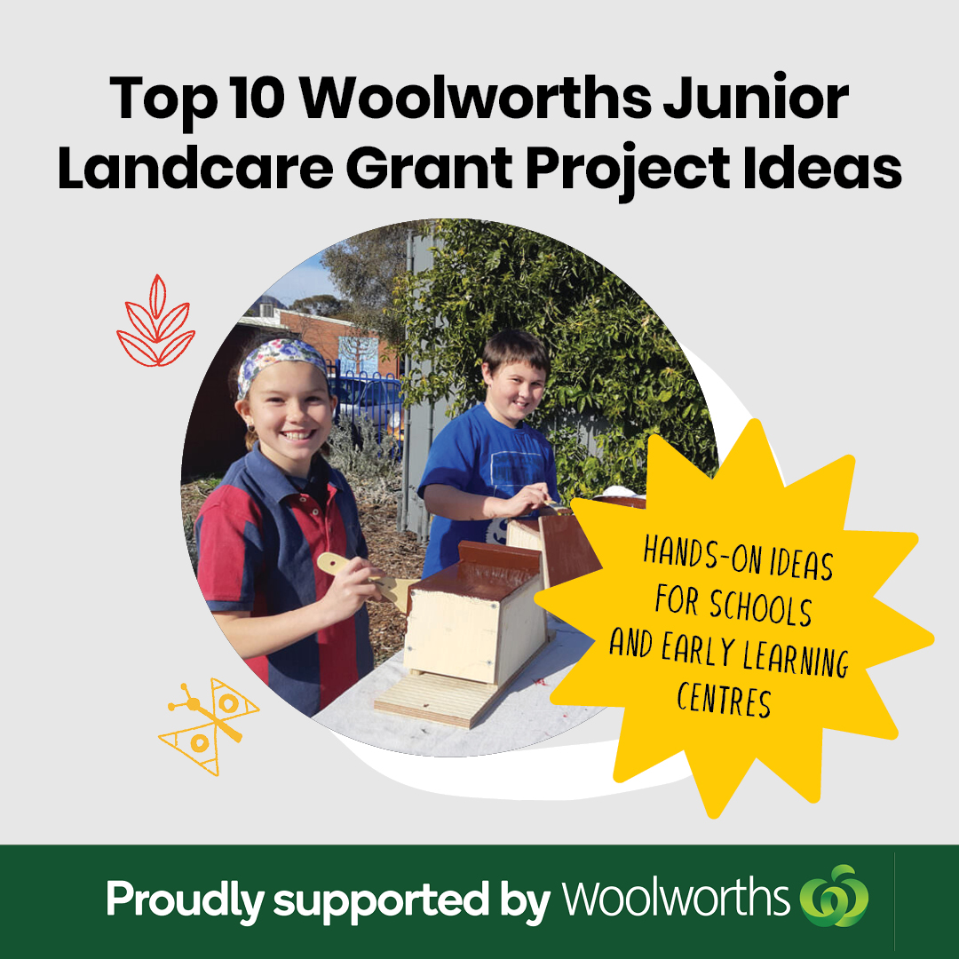 Landcare Australia (@landcareaust) on Twitter photo 🌱 Applications for the <a href="/woolworths/">Woolworths</a> Junior Landcare Grants will be opening again soon.
Check out our Top 10 Woolworths Junior Landcare Grant Project Ideas to help get you started for your school or early learning centre.
juniorlandcare.org.au/top-10-junior-… 🌱 Applications for the <a href="/woolworths/">Woolworths</a> Junior Landcare Grants will be opening again soon.
Check out our Top 10 Woolworths Junior Landcare Grant Project Ideas to help get you started for your school or early learning centre.
juniorlandcare.org.au/top-10-junior-…