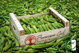 HawaNiyigenah's tweet photo. Okra is one of the big export business in Nigeria. Let’s connect if you are interested to this in Rwanda https://t.co/BvxAJgjZQk
