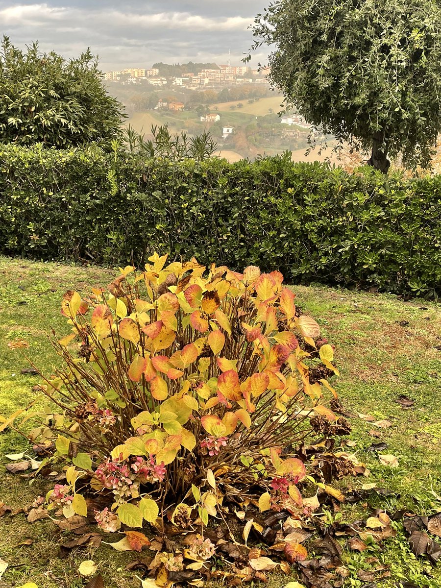 CourtesyDay's tweet image. So beautiful