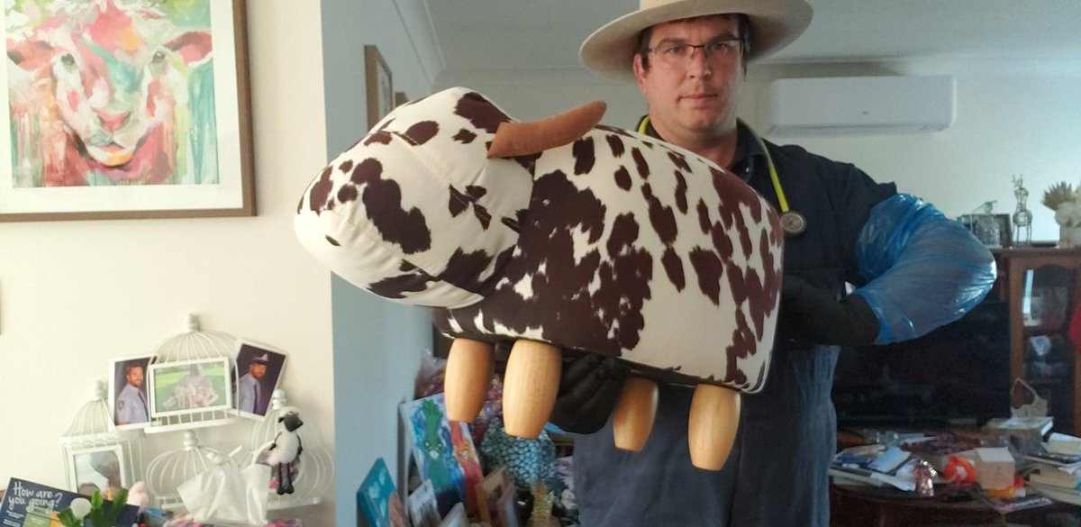 AussieCattleKid's tweet photo. Gotta preg check something!
#PregTesting #PregTestingCows #PalpationNation #GloveUp #PregTestingGloves #PalpationSleeve https://t.co/0XZAFTKnDV
