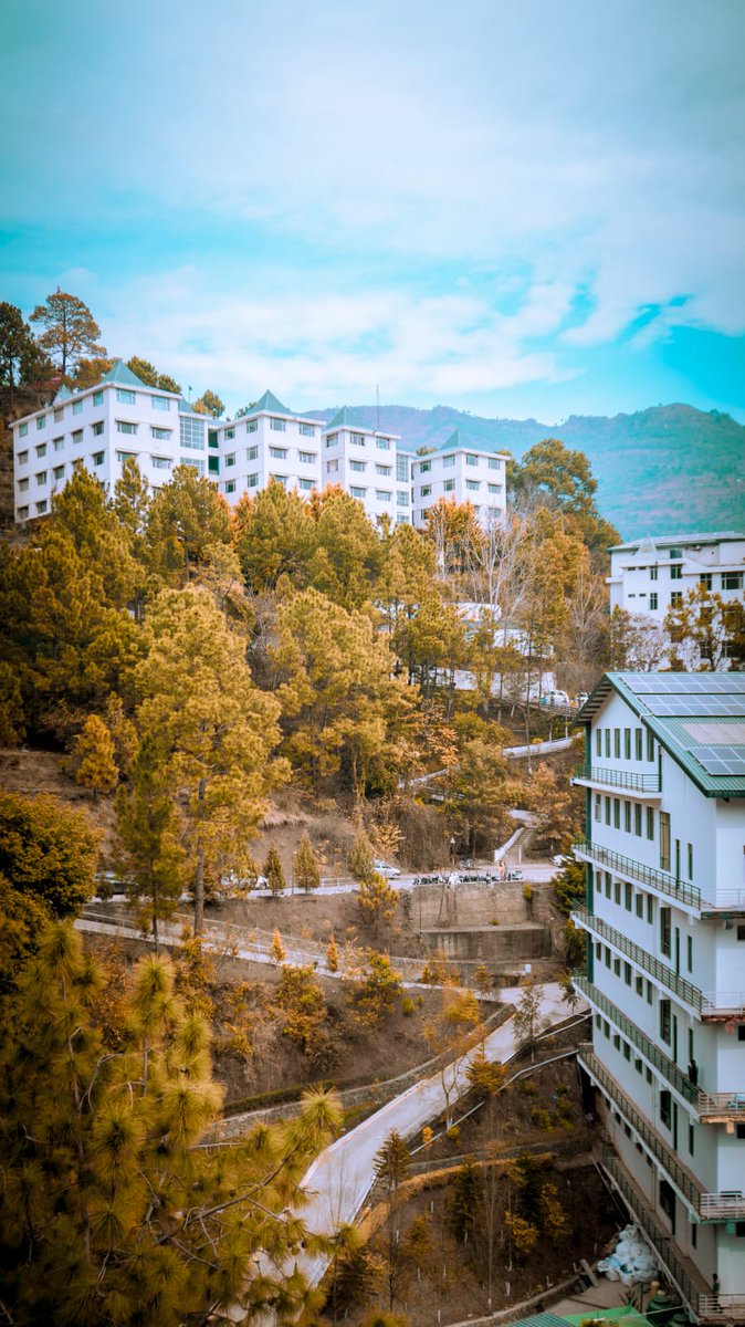 This artistic image will boost your energy as the countdown for the holiday season begins. 🥳

#nature #Campus #Campuslife #Beautifulcampus #Collegememories #Collegedays #ShooliniCampus #shoolini #shooliniuniversity #myShoolini #thinklearning #thinksuccess #himachalpradesh #solan