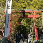 ツイートに含まれる画像