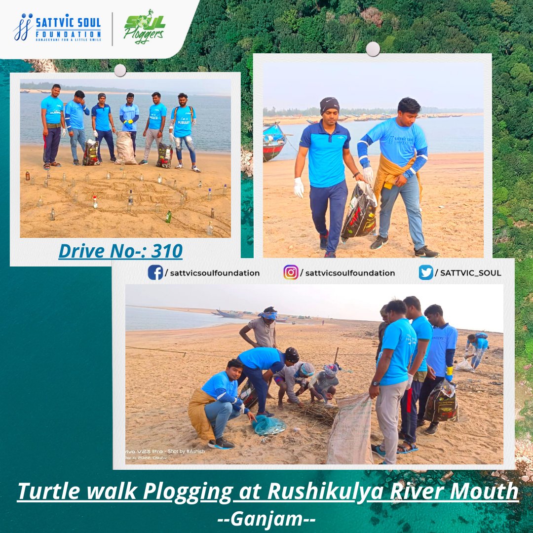 SATTVIC_SOUL's tweet photo. 1/2) Drive No - 310
Turtle Walk Plogging, Ganjam, Odisha

We @SATTVIC_SOUL organized a  plogging drive at Turtle Nestle Point of Rushikulya River &amp; collected 70 kgs of plastics.

Love Turtles Hate Plastic. 

@PlasticPollutes @oceana @EarthOrg @ErikSolheim @SEEturtles @TAPcampaign https://t.co/6YOparKbN3