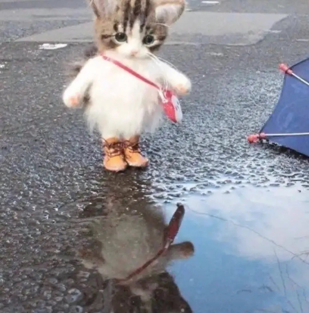 erinmhk's tweet photo. when ur being mean to me this is who ur being mean to :/ https://t.co/IaYXLu2ViF