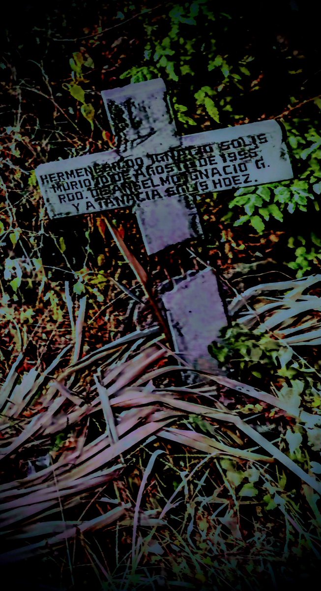 SideBushArt (@sidebush) on Twitter photo 