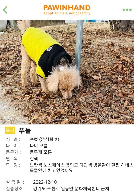 어떤 남양주에 사는 사람이 어머니와 운전 연습 하다가 강아지 유기장면을 실시간으로 목격해버림, 그래서 그 회원이 차에서 내려 사진찍으면서 달려가니까 200m 넘게 가다가 다시 강아지를 태워갔대

근데... 포천까지 가서 유기했는지 포인핸드 올라옴 🤬🤬🤬

theqoo.net/2671804900