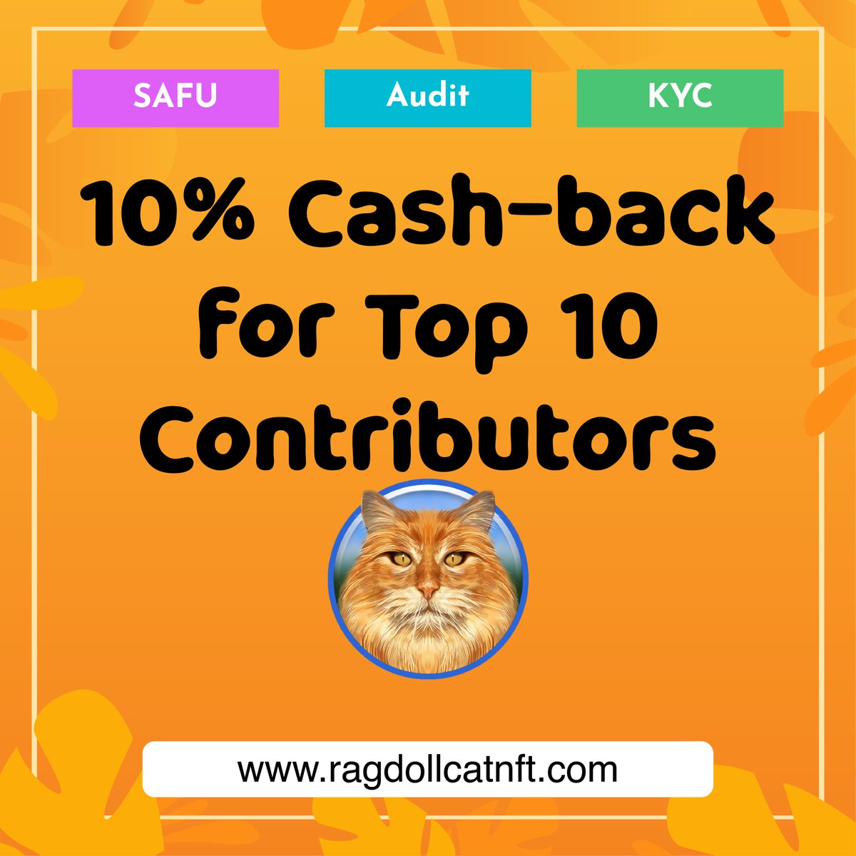 RagdollCat NFT tweet media