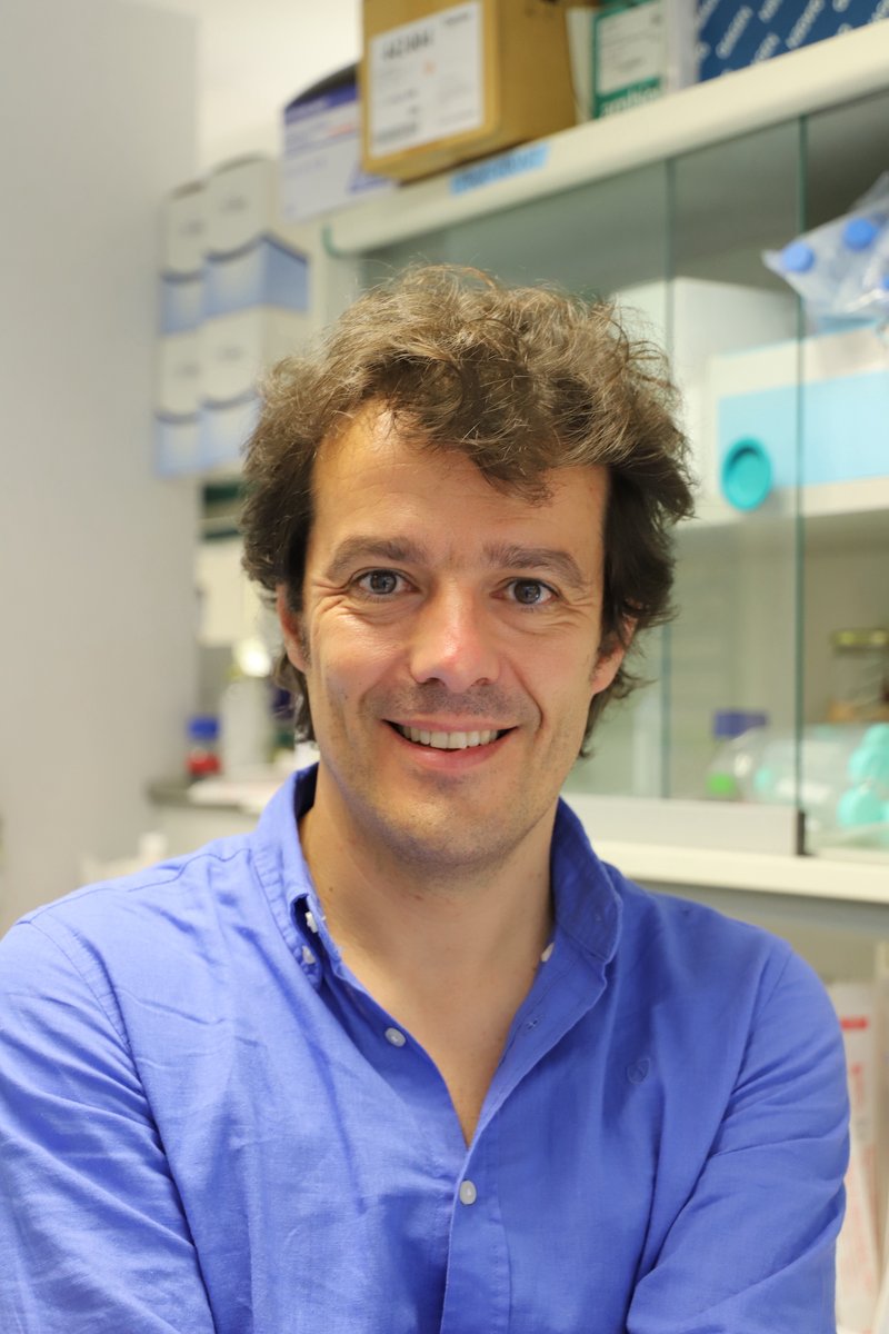 Josep Carreras Leukaemia Research Institute (IJC) (@carrerasijc) on Twitter photo 📣 World's first clinical trial with CAR-T technology for patients with T-cell leukaemia subtype authorized!
<a href="/onechaintx/">One Chain Immunotherapeutics</a>, spin-off founded by Dr. Pablo Menéndez (<a href="/Menendez_Lab/">Menendez Lab</a>), has obtained authorization by <a href="/AEMPSGOB/">AEMPS</a> for the CARxALL clinical trial.
👉carrerasresearch.org/en/world-s-fir… 📣 World's first clinical trial with CAR-T technology for patients with T-cell leukaemia subtype authorized!
<a href="/onechaintx/">One Chain Immunotherapeutics</a>, spin-off founded by Dr. Pablo Menéndez (<a href="/Menendez_Lab/">Menendez Lab</a>), has obtained authorization by <a href="/AEMPSGOB/">AEMPS</a> for the CARxALL clinical trial.
👉carrerasresearch.org/en/world-s-fir…