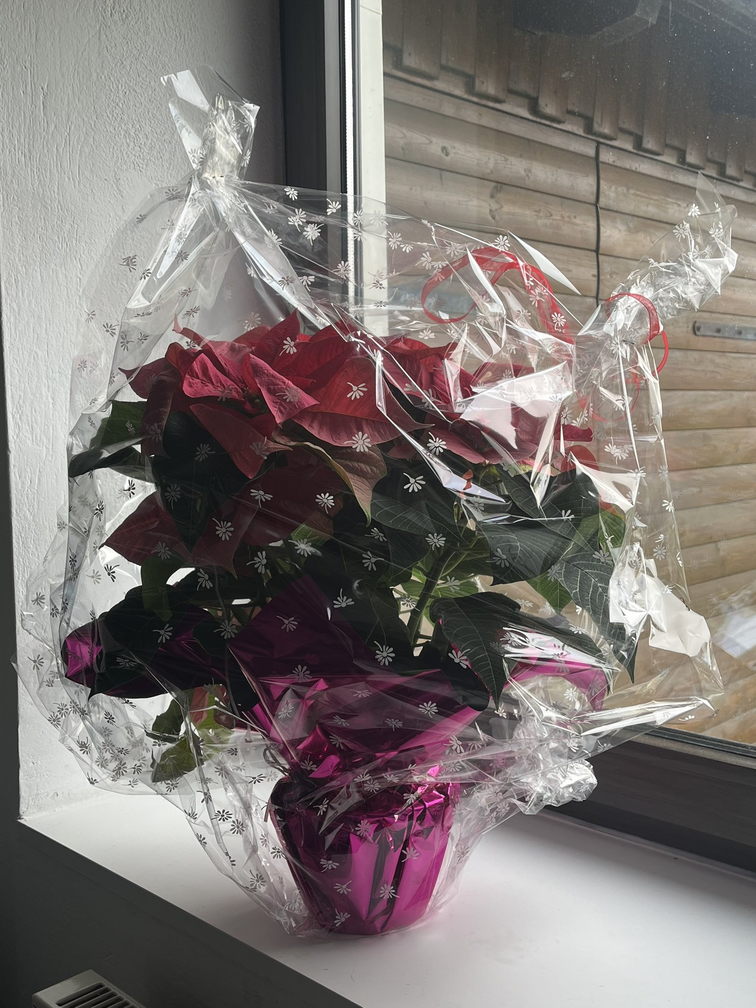 jana on Twitter 