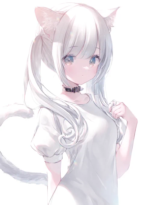 白猫ちゃん 