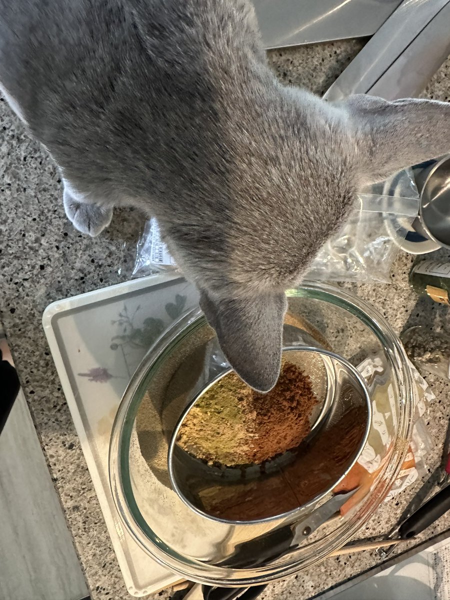 カレー粉作っていたらアポちゃんが寄ってきた。だめだめ、つよいにおいだからね💛