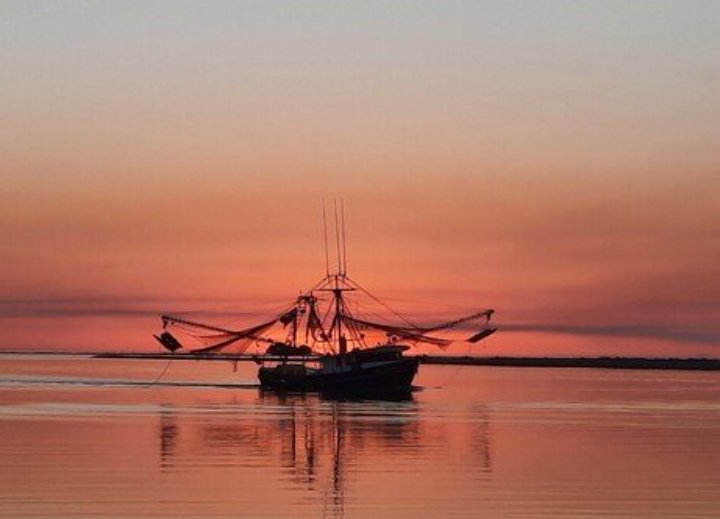 hippyseachick's tweet photo. #RealSaltLife https://t.co/dZYvOnfav5