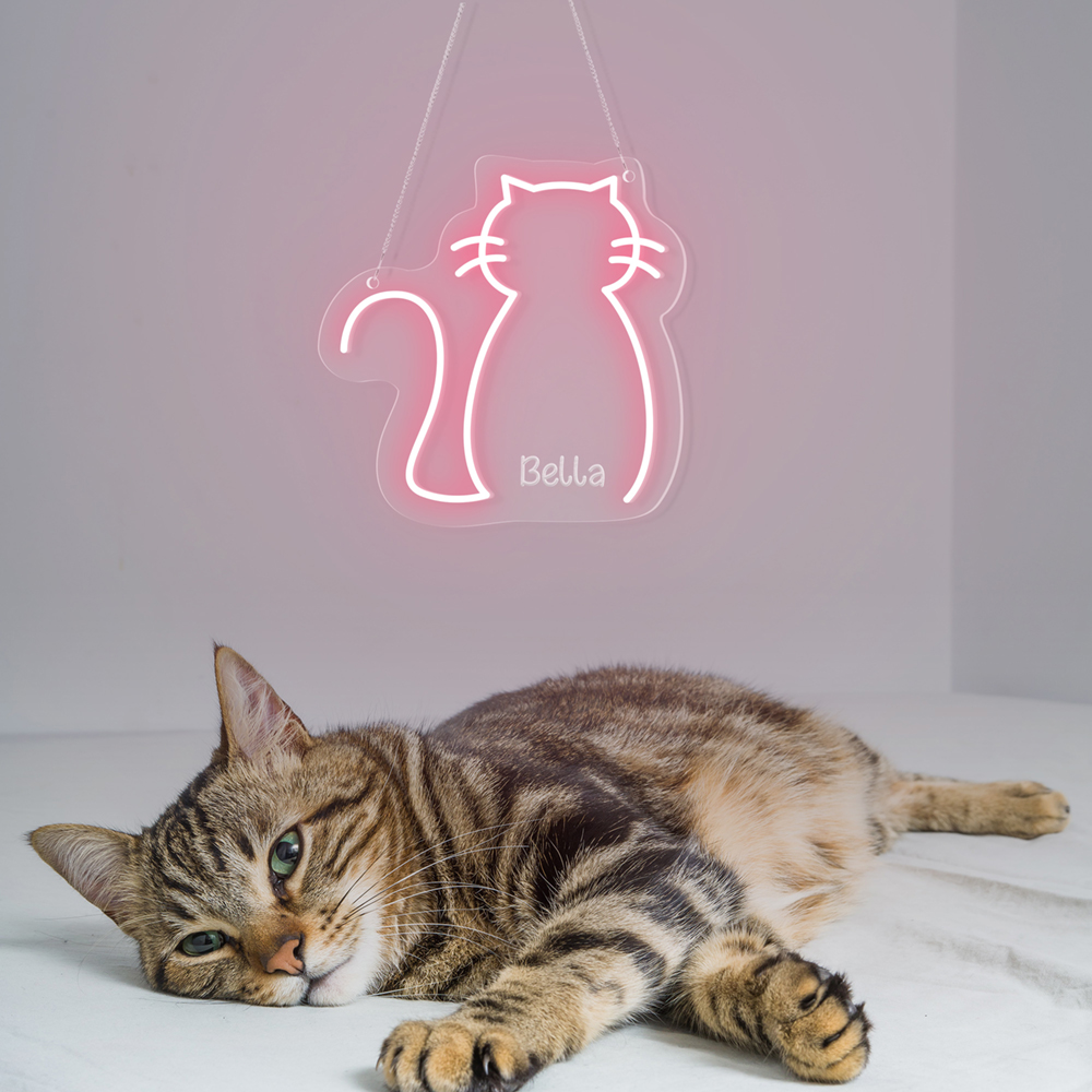 neonwillstudio's tweet image. 😻Customize a gift for your cat~#neonwill #cat #customneonlight #neonsigns 
🔥bit.ly/3hGxK7w
