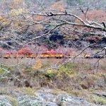 ツイートに含まれる画像