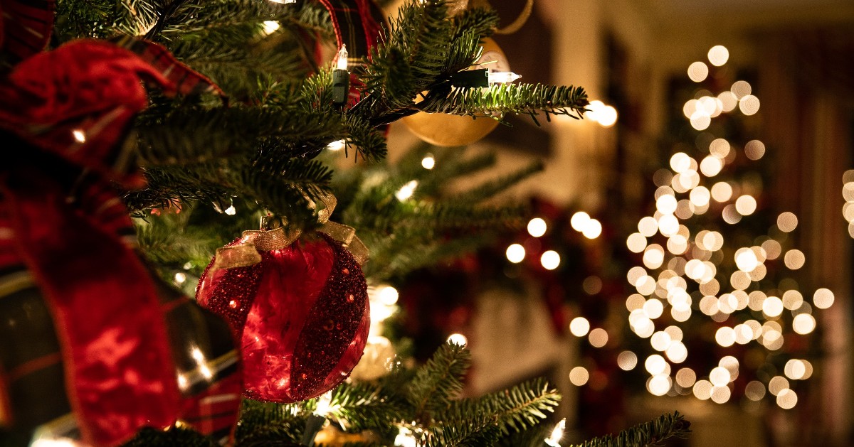 Strathmore_uk's tweet photo. Wishing everyone a wonderful holiday season, and a happy new year when it comes 🎄 https://t.co/ONjZnJZcTz