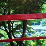 ツイートに含まれる画像