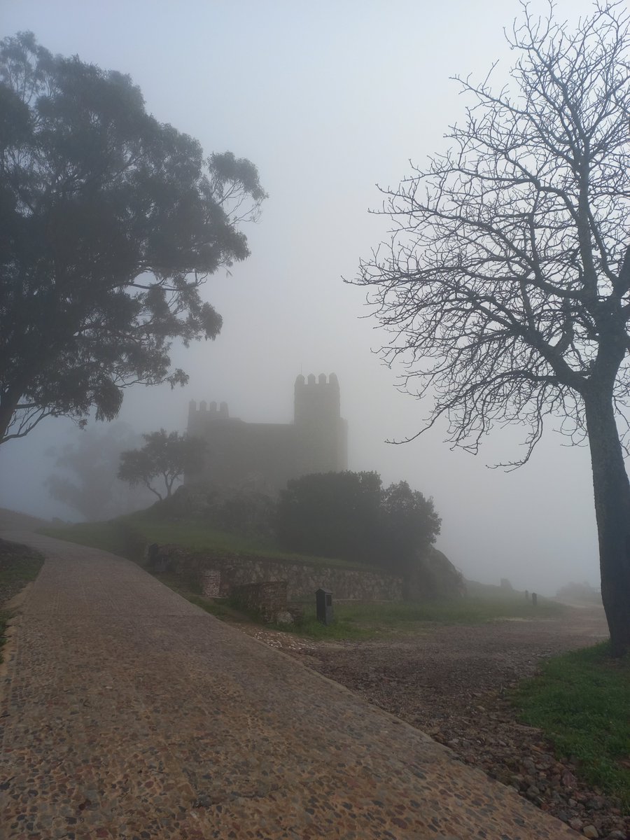 Cortegana_tur's tweet photo. Hoy damos la bienvenida a una nueva estación con el solsticio de invierno, estación que nos regala imágenes de nuestro castillo tan especiales como esta. ❄️🏰
#cortegana #castillomedieval #pueblomagico #destinosconencanto #turismorural #ecoturismo #sierradearacenaypicosdearoche https://t.co/teggPf5bVS
