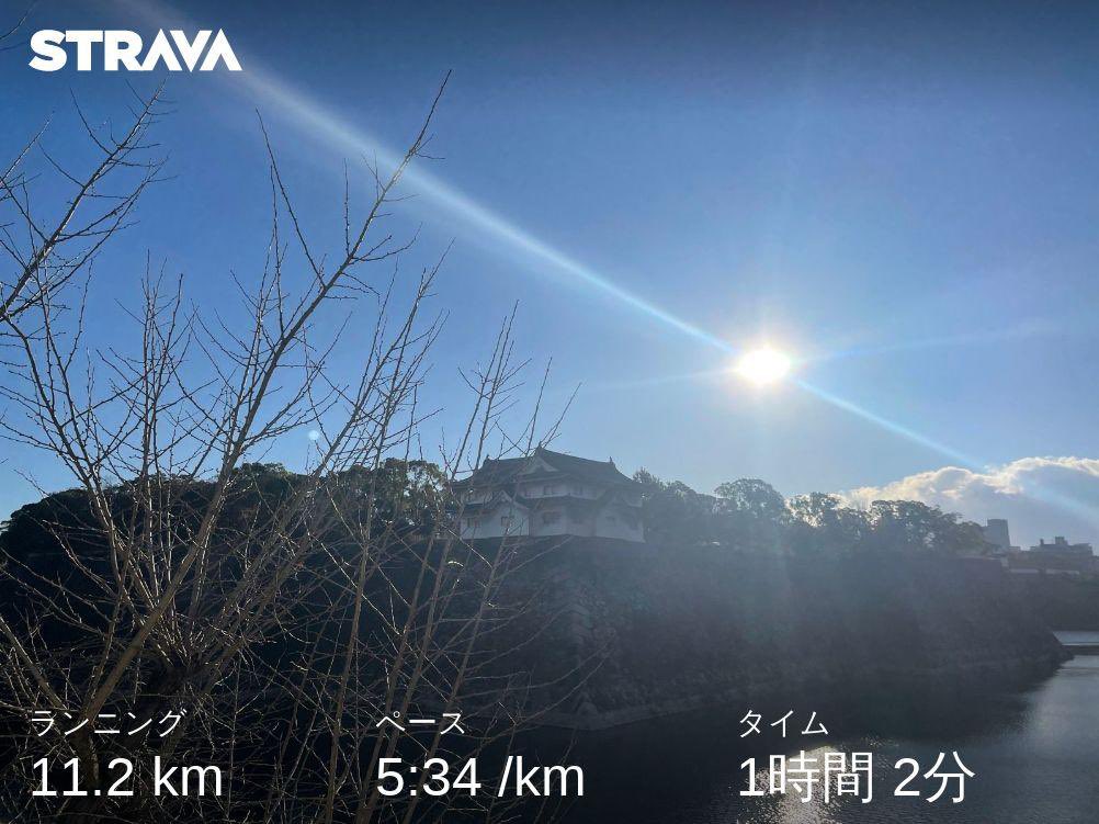 runrecording's tweet photo. こないだの大阪城ラン。街中はほんと道がわからんので川縁とかお城にたどり着くと楽ですねー。
#ジョギングの記録
#ジョギング
#朝ラン
#旅ラン https://t.co/JGIgfNlPbB