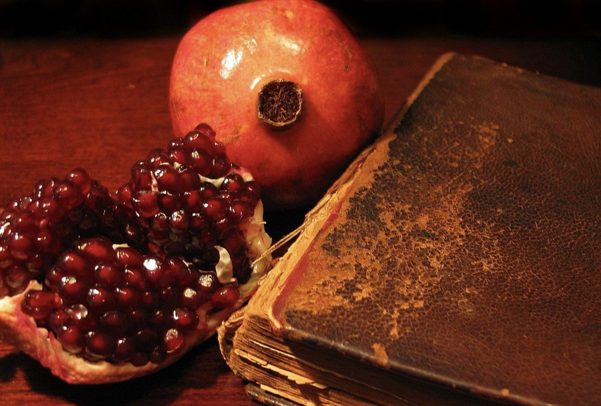 In no other time in #Iran’s +40 yr history, have the #Iranian people felt the victory of light over darkness as much as they do now. 
May this light come soon — may millions of Iranians break free from the darkness of all these years.

 #Yalda #يلدا #شب_یلدا