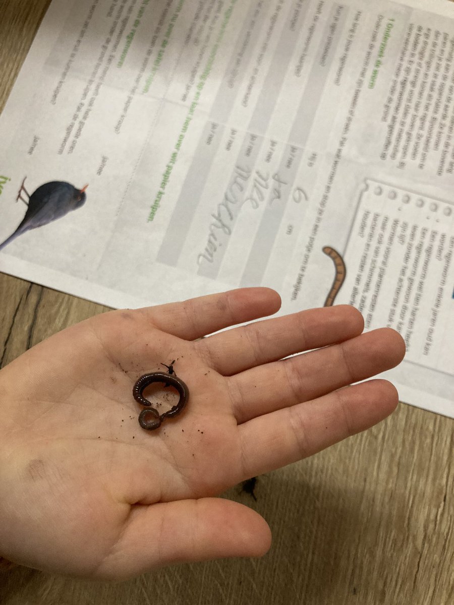 Het eerste #voedselbosje is aangelegd <a href="/bsdeborne013/">Basisschool de borne</a> Een mooi educatieprogramma van <a href="/IVNNederland/">IVN Natuureducatie</a> . Hopelijk volgen er meer scholen in Tilburg! <a href="/RobbertHesen/">Robbert Hesen</a> <a href="/NatuurS/">natuur&milieu&school</a> 
Kijk voor meer info over voedselbosjes op 
 ap.lc/RYCWE