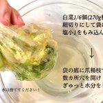 和風でほっとする味わいに仕上がる？!白菜などで作る、とっても美味しそうな「コールスロー」レシピ!