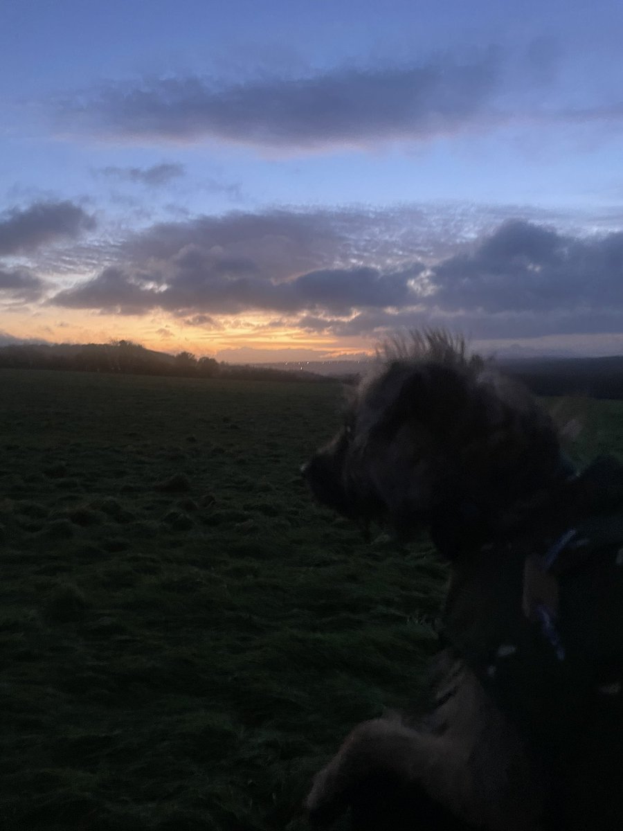 Olive BT (@bt_olives) on Twitter photo 