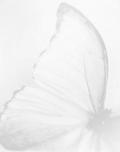 0queryi's tweet photo. Believe in yourself a little more. https://t.co/ptLXU768Mv