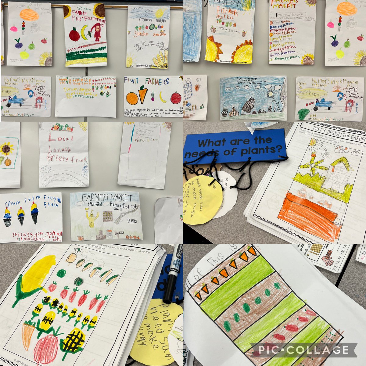 Alyssa Rush tweet media