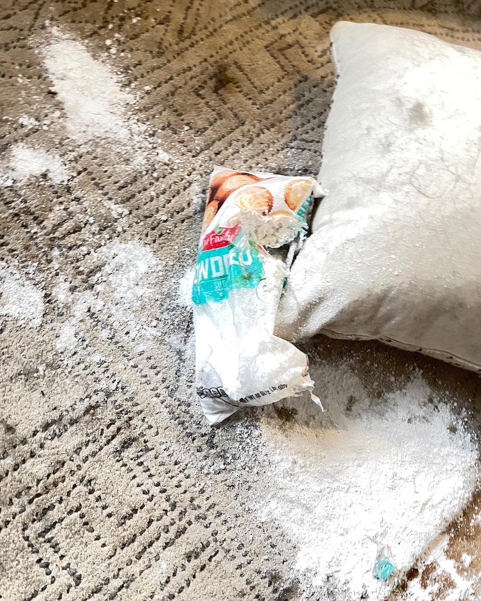 KimberlySWatts's tweet photo. @dog_rates @Trupanion Brady says “Let it snow"! He couldn’t resist grabbing the bag of powdered sugar off the counter. #naughtylist https://t.co/qOGnD9kTNu