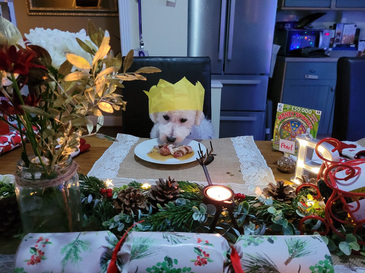 IanDunthorne's tweet photo. @PipTomson @GMB @adilray Dogs definitely deserve to enjoy a great Christmas Dinner with us all. https://t.co/euJYNjQltl