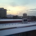 ツイートに含まれる画像