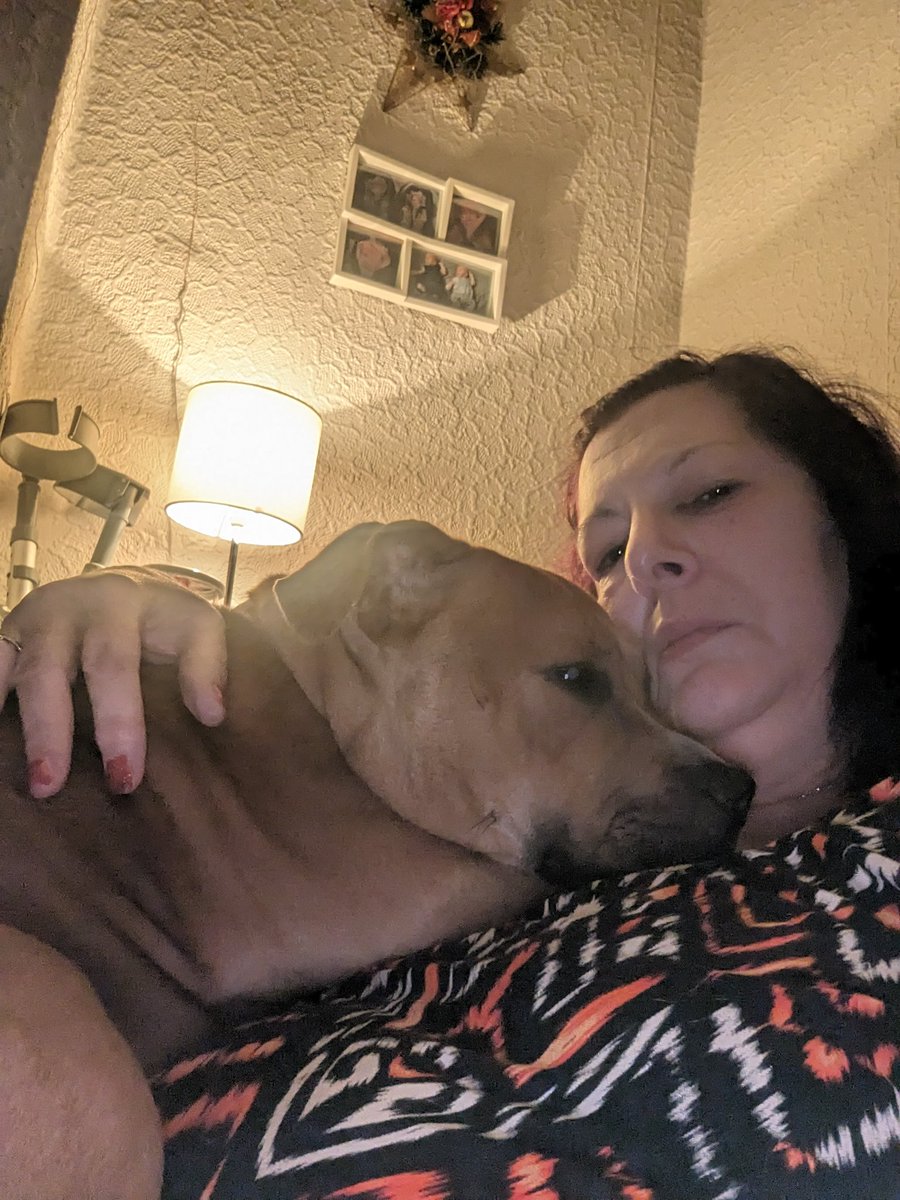 Good morning everypawdy, hope you're all well. l'm having my morning hoomum love. Have a wonderful wednesday xx