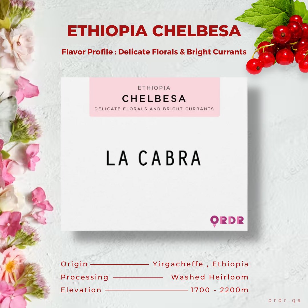 ordrqa's tweet photo. Experience a sweet and smooth mouthfeel with elegant florals and notes of bright currants - this coffee has great depth and balance. 

Shop Chelbesa, La Cabra from our store in Qatar. Link in bio.
.
.
.
.
.
#qahwa #coffee #coffeeshop #cafe #coffeelover #doha #Qatar2022 #qatar https://t.co/geGYwQAz0K
