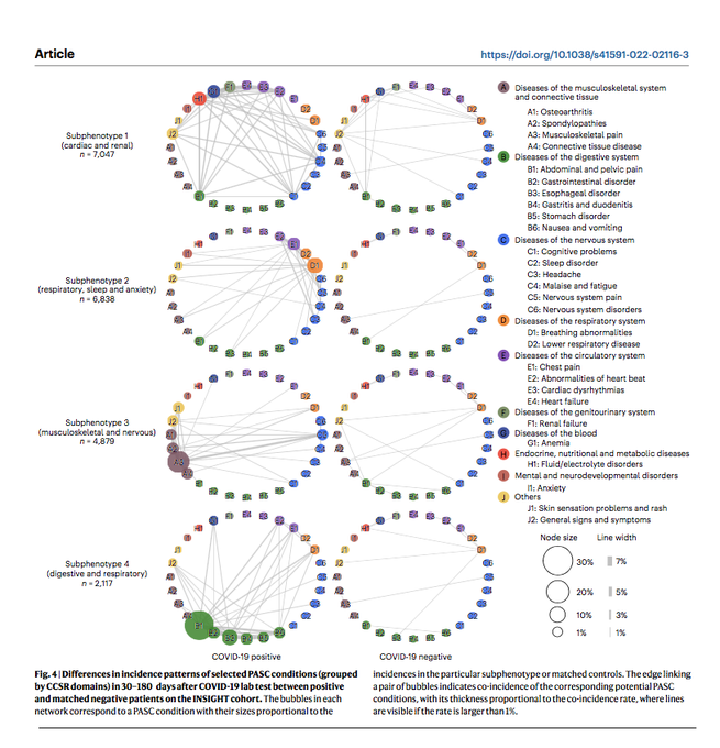 Gorka Orive tweet media