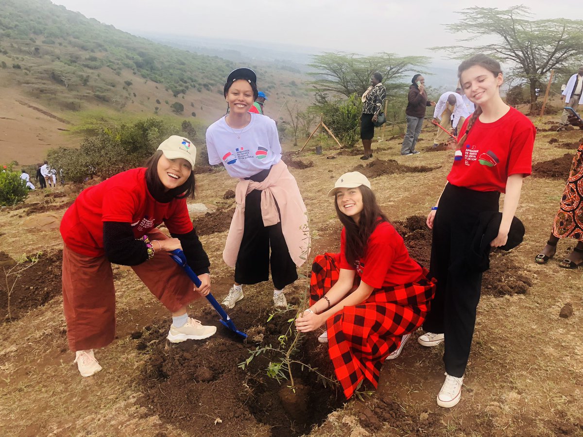 IngridKem's tweet photo. Strong girls of @FranceinKenya planting trees 🌳 in #NgongForest

We are all environmental Ambassadors 🌿🌱🪴

#5billiontrees
#treesforbirthday https://t.co/1qufTODbxN