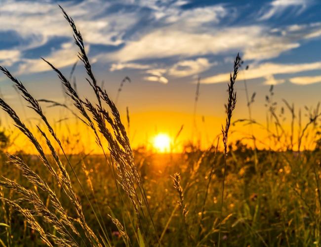 SAFCEI's tweet photo. Today we celebrate Summer solstice, the longest day of the year which occurs when one of Earth's poles has its maximum tilt toward the Sun.

This solstice is a universal symbol of light, life &amp; growth.

May we have more bright days to come

#SummerSolstice #Solstice #Earthkeeper https://t.co/FrAshVb8Dd