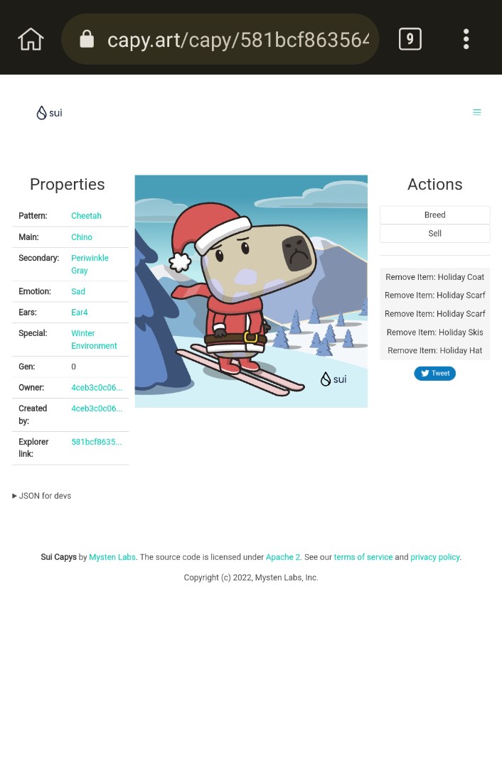 shaanloki9's tweet photo. 🎁 I just unboxed my Sui Holiday Capy! ❄️ 
Create your own Capy here:  https://t.co/eRrF9Eh8Rk #CapyHolidays https://t.co/K7HJnIzFuK