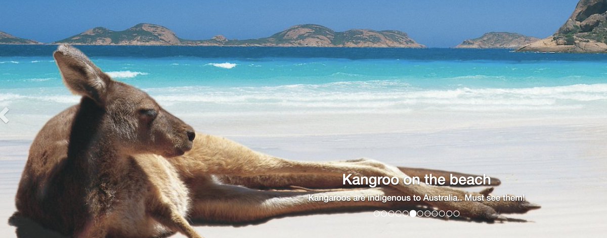 Alexander Serebrenik tweet media