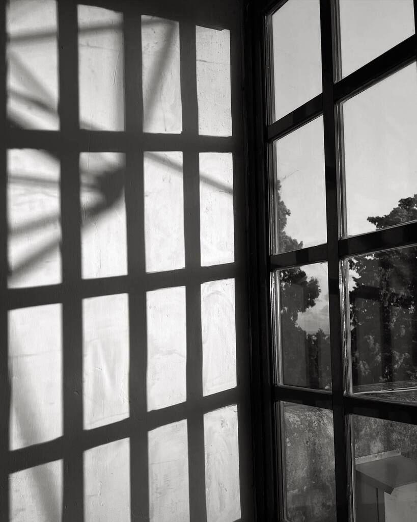 Mornings 🌻🌞

#observations #giolacassar #morningobservations #lightandshadow #photography #iphonography #chillymornings #wintersunshine instagr.am/p/CmbB5LEImVr/