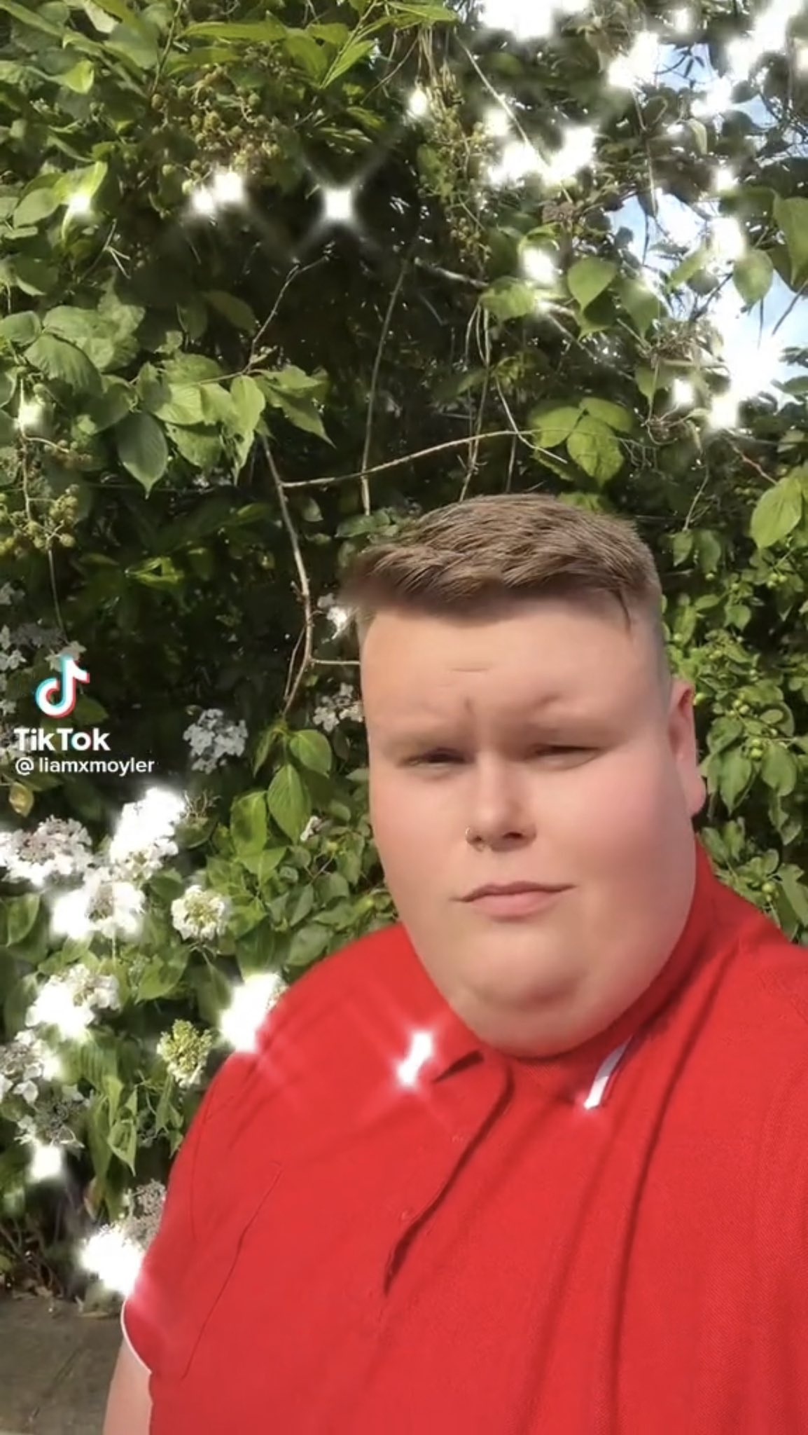 zigzagoon apologist on Twitter "Mushyee https//t.co/SonmBdCDGv