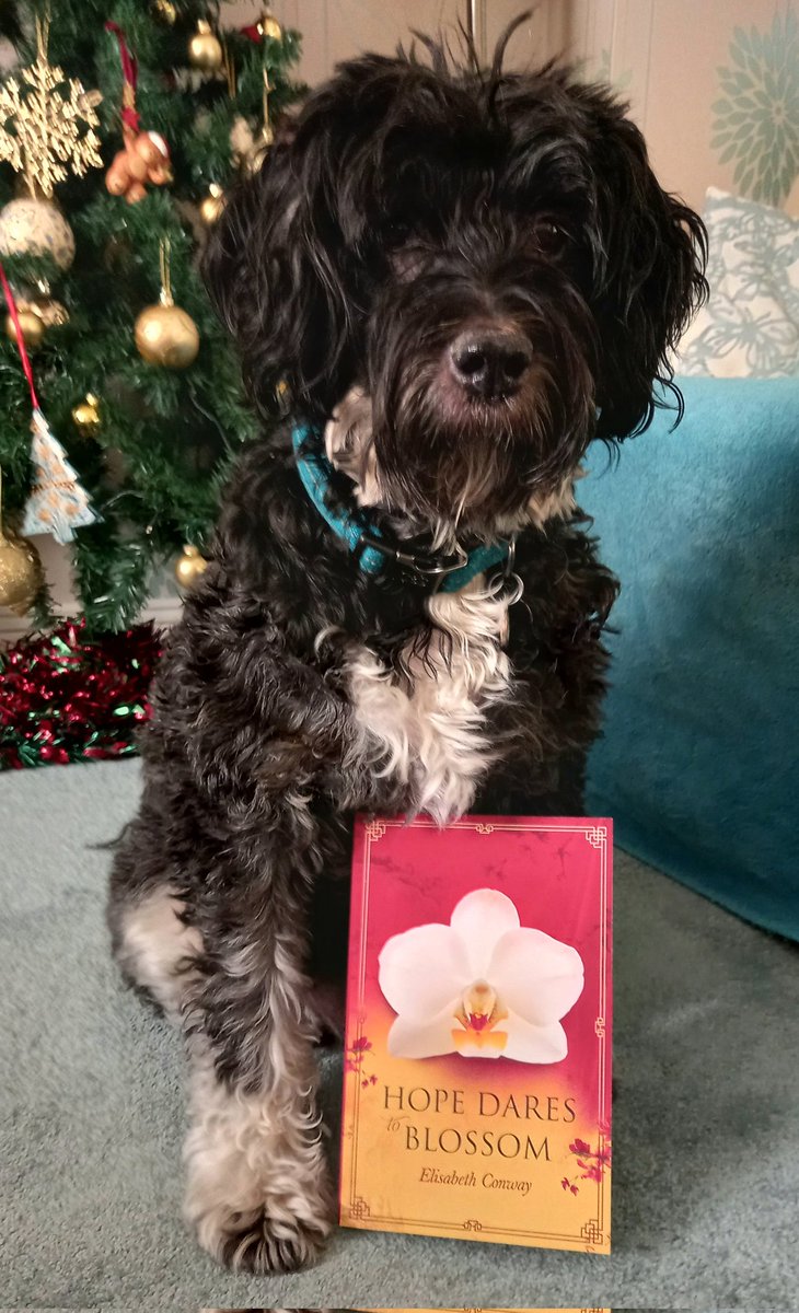 Lisa Conway tweet media