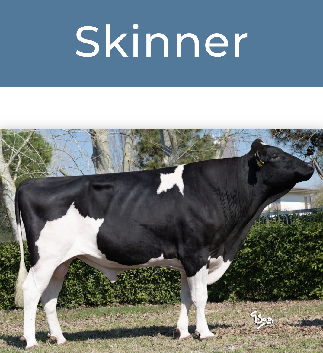Reprogen__'s tweet photo. 🏆 SKINNER BUZAĞILARI 🏆
GPFT +3379
SÜT +1798

SKINNER CALVES
MILK +1798

#holsteincalf #milk
@Intermizoo https://t.co/hCx9s0iRm3