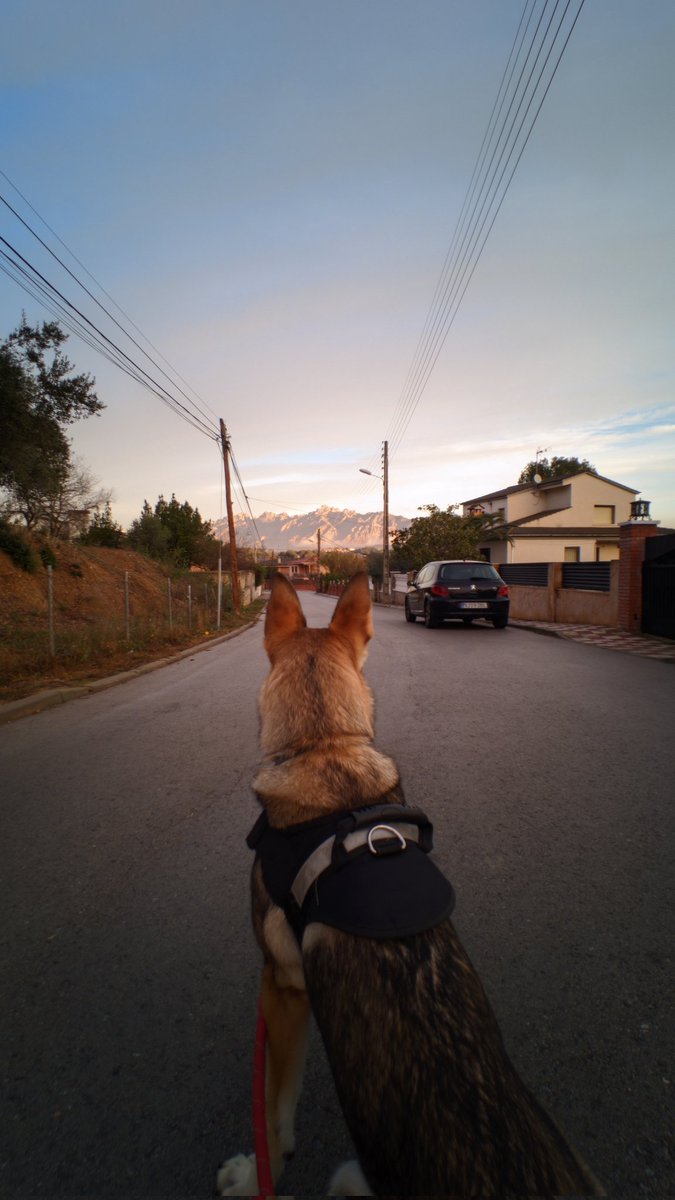 El paseíto mañanero