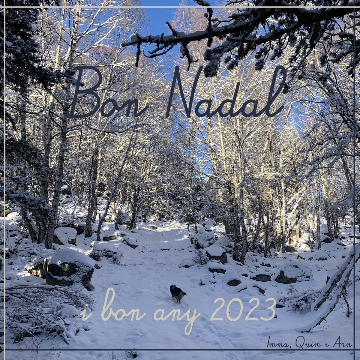 #BonNadal #BonAny2023 #felicitació #Nadal #foto #gos #bosc #neu #bonanititapat
