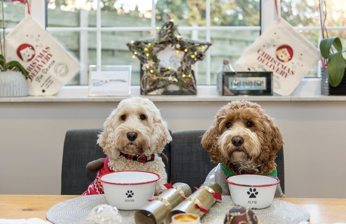 Kate Mallender tweet media