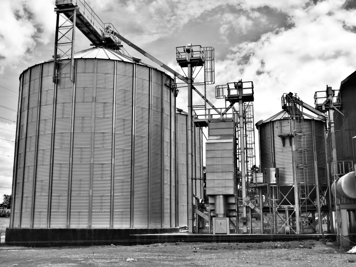 PerryEng_EA's tweet photo. Aflatoxins can cause serious health problems in humans and animals, so it's important to regularly check for them in grain storage facilities. 

At Perry, we provide solutions for grain drying, handling and storage. 
#food #aflatoxins #foodsafety #EngineeringExcellence⚙️ https://t.co/5OY5SrpB1r