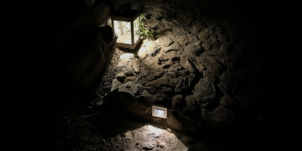 Eclairage extérieur
#domolighting #eclairageexterieur #outdoorlighting #lumiere #eclairage #lighting